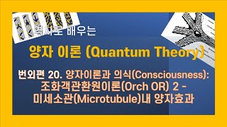 역사로 배우는 양자이론  번외편 20 양자이론과 의식: 조화객관환원(Orch OR) 이론 2 –  미세소관(Microtubule)내 양자효과