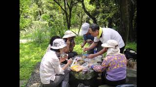 20120330 [汐止]   烘內站連走柯子林茶莊、如意湖、金明山、柯子林山、叭連港大尖、拱北殿