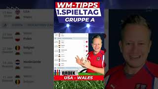 WM-Tipps heute ⚽️ USA - Wales [Prognose]
