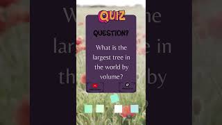 What is the largest tree in the world by volume?#shorts #knowledge #fact