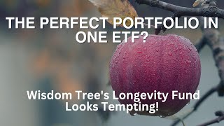 The Perfect Portfolio In One ETF? -With The Wisdom Tree Siegel Funds You Invest Like A Professor!