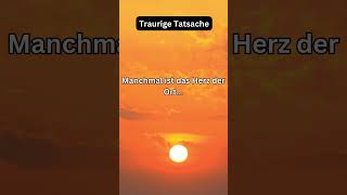 Traurige Tatsache #emotionaleintelligenz #beziehungspsychologie #gehirnforschung