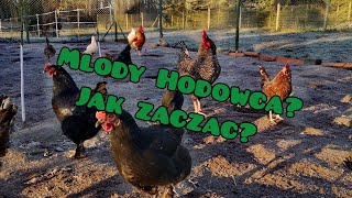 Hodowla Kur / Młody Hodowca? Jak zacząć? 🐓🐔#1