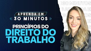 Princípios do Direito do Trabalho