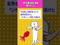 【2ch面白いスレ】ウチの猫の笑える話を挙げてくｗ【ゆっくり解説】 2ch面白いスレ 2ちゃでん 猫