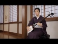 Lute (shamisen)