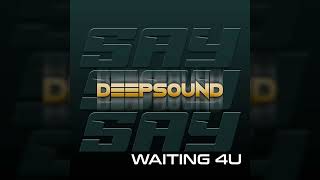 DEEPSOUND - Say Say Say (Waiting 4U)