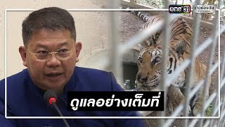 กรมอุทยานฯ แจงเสือโคร่งวัดหลวงตาบัว ตาย 86 ตัว | ข่าวช่องวัน | one31