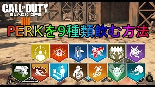 【COD:BO4 ゾンビ】 PERKを9種類飲む方法 グリッチ bo4 zombies