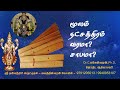 மூலம் நட்சத்திரம் வரமா சாபமா | Moolam | Dhanusu | Astrology in Tamil |