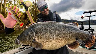 Giant Murray Cod Lures for Giant freshwater fish