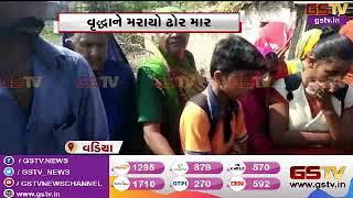 Amreli : વડિયામાં છાણ વિણવા જેવી બાબતે વૃદ્ધને માર | Gstv Gujarati News