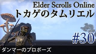 #30［Steam 英語版］実況：トカゲのタムリエル THE ELDER SCROLLS ONLINE