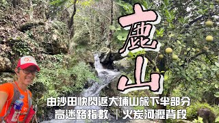 鹿山 🦌高迷指數河瀝背［香港郊遊行山好去處]4K 由沙田道風山經火炭山尾河瀝背到大埔｜走上松仔園上冷門山頭 鹿山🦌高迷路指數路線｜火炭大埔行山路線