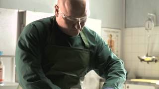 An Embalmer's Story