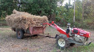 Day 2 of harvesting rice 🌾 with vst shakti 130 di power tiller