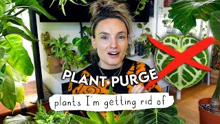 Why I'm Getting Rid Of These Plants... Houseplants I Wouldn't Buy Again 🌱