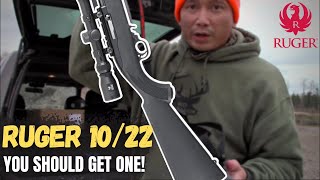 Zeroing My New Ruger 10/22 Accuracy Test @ 25-100 Yards