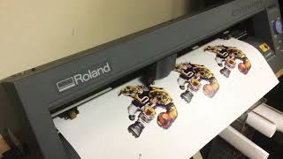 Roland CAMM-1 CX-24 Contour Cutting Decals.