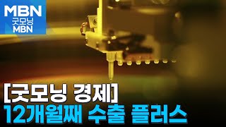 [굿모닝 경제] 12개월째 수출 플러스 / '통관 차단' 제품 이미 국내에 / 방역·검역 인력 '태부족' [굿모닝 MBN]