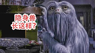 吞金獸是男人的寵物，被發現後，吐出無數金幣，科幻，奇幻，超能力，魔法，電影，解說