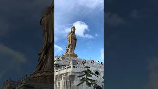 普陀山南海观音我在南海观音代江西江同学祈🧧智慧增长，学业有成#普陀山祈福#愿所求皆所愿