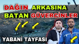 UZAYDAN DALIP DAĞIN ARKASINA BATAN GÜVERCİNLER - YABANİ TAYFASI ADANA GÜVERCİNLERİ