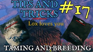 Valheim Tips and Tricks #17 - The complete Taming, Breeding and Companions Guide!