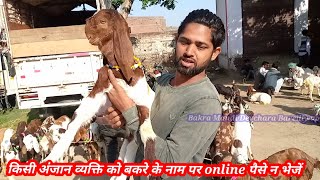 देवचरा बरेली बकरा बाजार बदायूं रोड पर स्थित है ‌devcara Bareilly bakra Mandi