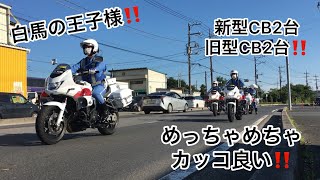 白バイ4台隊列走行‼️ めちゃくちゃカッコいい白バイ隊員さんたち‼️