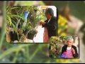 utilizan plantas medicinales para curar malestares