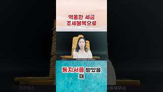 조세불복 방법과 주의 해야 하는 이것