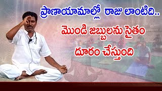 అనులోమ్ విలోమ్ ప్రయోజనాలు | anuloma viloma pranayama benefits in telugu | sandhyavandanam yoga