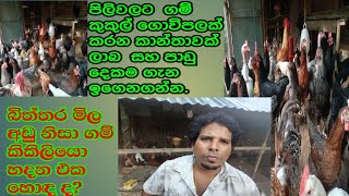 බිත්තර මිලට විසඳුම ගම්කුකුල්ලු හදන එකද