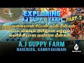 Ribbon  guppy இவ்ளோ குறைந்த வேறு விலையில் எங்குமே கிடைக்காது|PART#2 | visite AJ Guppy Farm #ngl