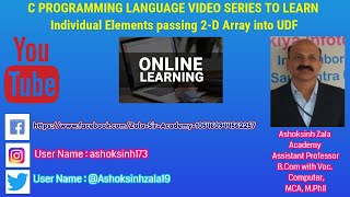 Individual Elements Passing 2-D Array into UDF in C Programming Language