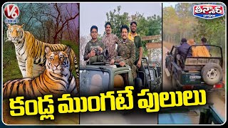 Jungle Safari In Tipeshwar Wildlife Sanctuary | Adilabad | V6 Teenmaar