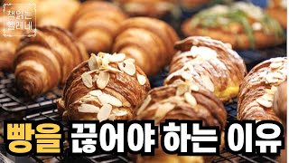 소식하는데도 살이 찌는 이유ㅣ당뇨 전문의가 알려주는 살 빼기 힘든 이유ㅣ탄수화물 중독 끊는 법ㅣ오디오북ㅣ책읽어주는여자