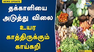 தக்காளியை அடுத்து விலை உயர காத்திருக்கும் காய்கறி என்ன தெரியுமா! | Tomato | Rate  | TN | vegetables