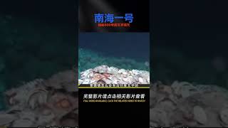 中國耗資30億撈南海一號，揭秘800年前文字詛咒，出土18萬件文物 #鉴证史者 #古董 #開棺 #古墓 #考古發現