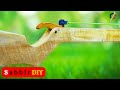 This is unbeatable slingshot by sabbir diy