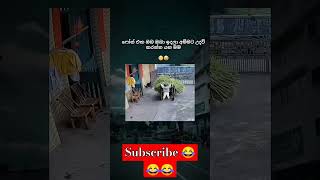 ඔය කළේ 😂😂😂😂