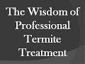 the wisdom of professional termite treatment