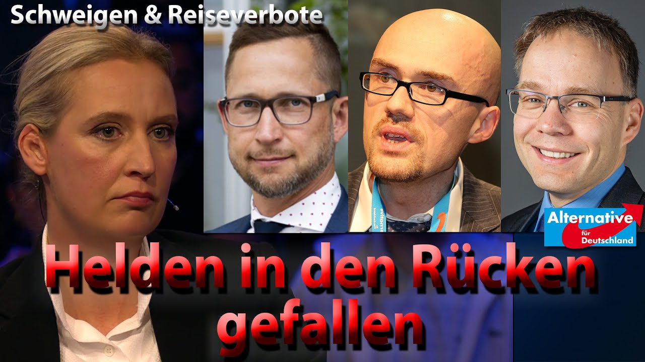 Wie Alice Weidel (AfD) Und AfD-Teile Die Wähler Täuschen - YouTube