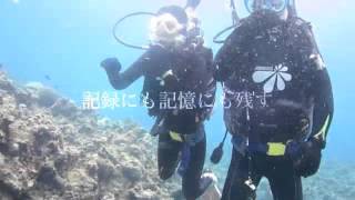 沖縄　瀬底島体験ダイビング　\