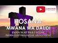 hosanna mwana wa daudi nyimbo za matawi