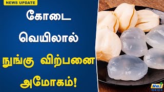 கோடை வெயிலால் நுங்கு விற்பனை அமோகம்..! Summer | Nungu Sales | Karur