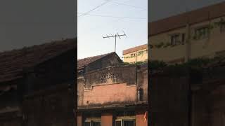 Old TV Antenna spotted at Rajkot city | VHF antennas | Doordarshan Antennas |