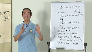 What are the principles of Tai Chi? | Dr Paul Lam I Online Tai Chi Lessons