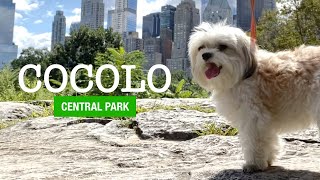 NY Subway to Central Park! [Eng Sub]